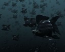 Poissons eau profonde