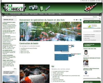 Vue du site de Koiconnect.com