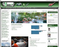 Vue du site de Koiconnect.com